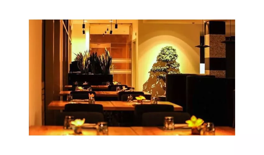 Hisyou Rubano - Ristorante Giapponese