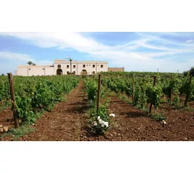 Agriturismo Baglio Donna Franca wine resort