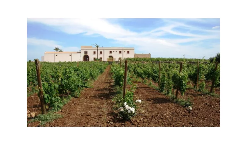 Agriturismo Baglio Donna Franca wine resort