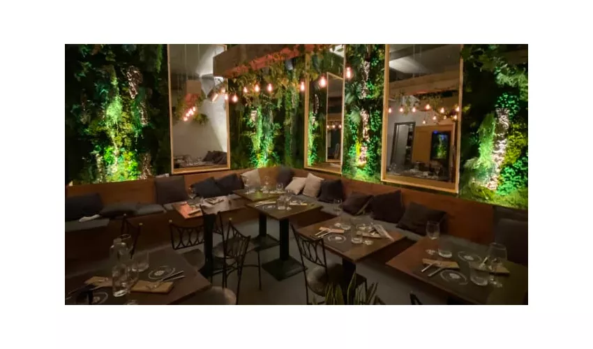 Clorofilla Cucina & Distillati