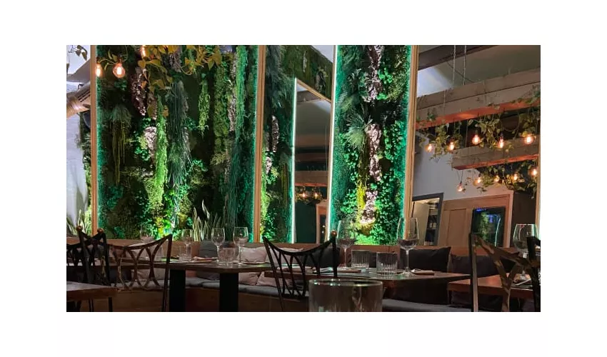 Clorofilla Cucina & Distillati