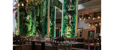 Clorofilla Cucina & Distillati