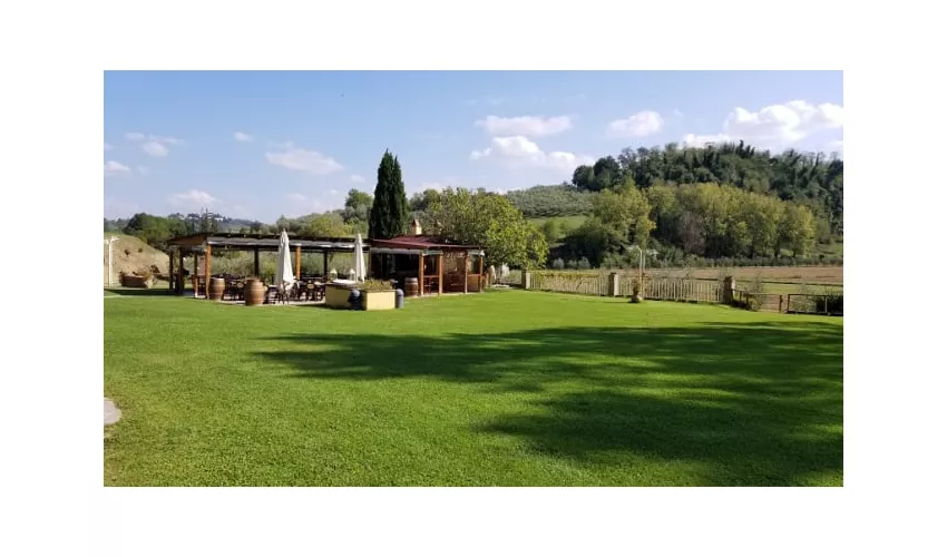 Agriturismo Bucine Basso Societa' Semplice Agricola