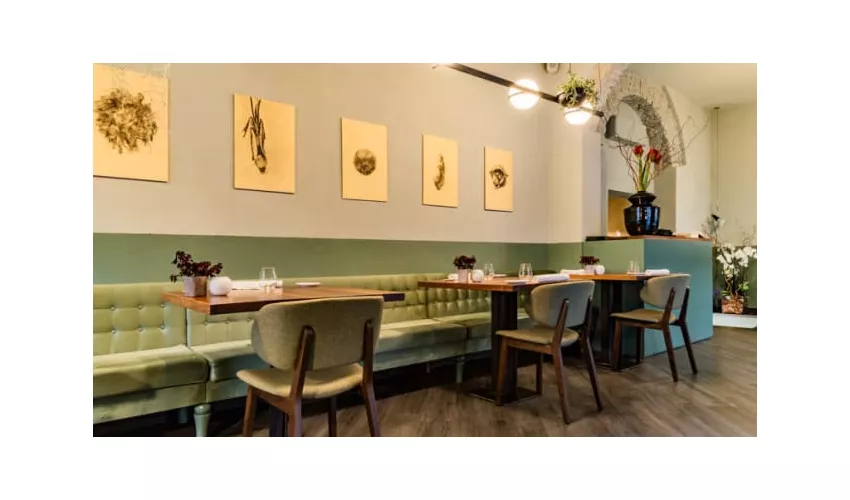 Zia Restaurant