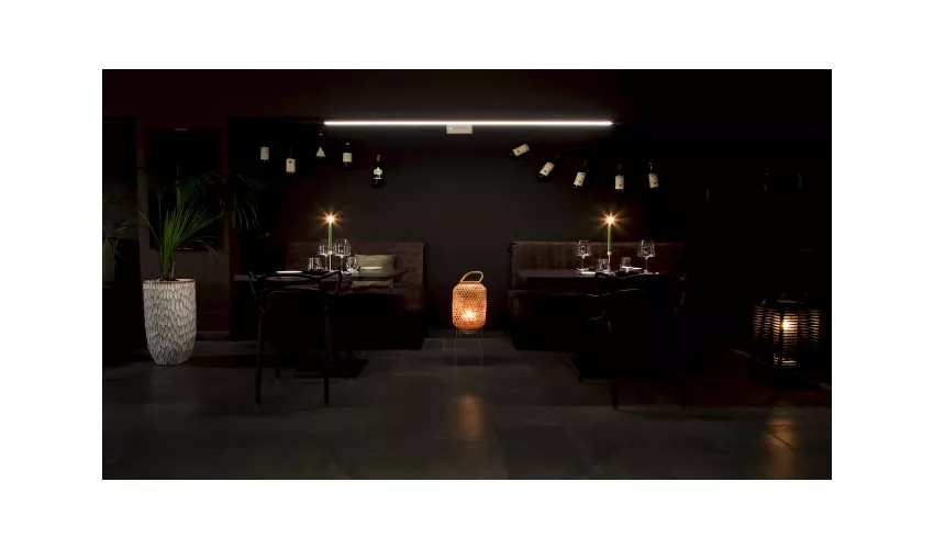 The Meat - Steakhouse Experience| Braceria Caserta