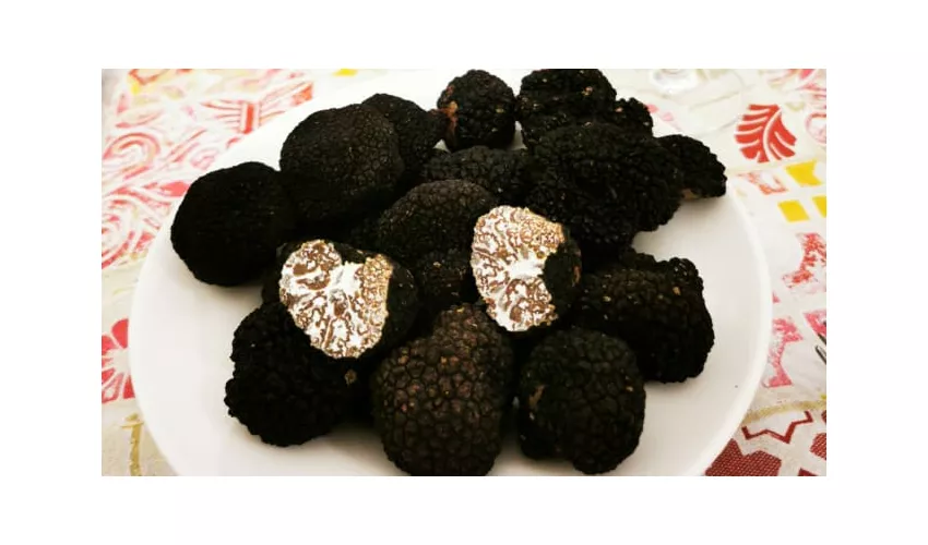 Trattoria "Il Grottino da Orlando"