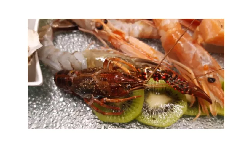 Ristorante "Il Gatto Rosso"