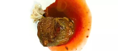 Pinsa e buoi dei...Parioli