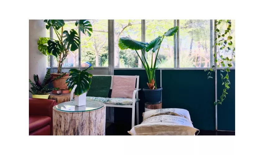 Jungle