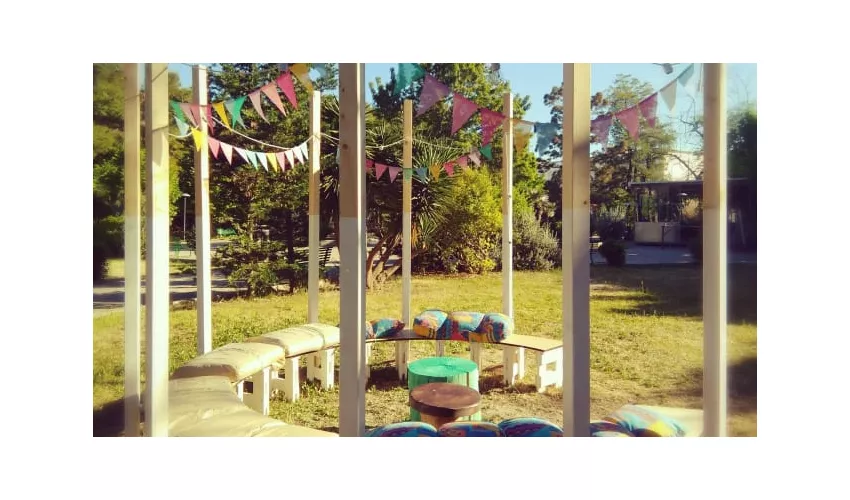 Jungle