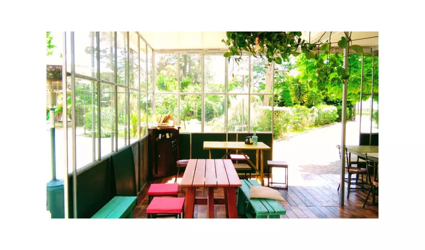 Jungle
