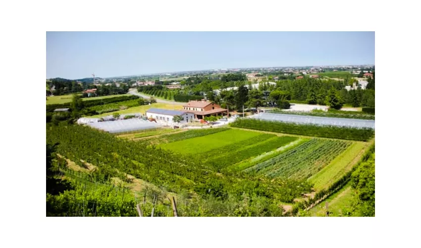 Agriturismo Perugini (Az. Agricola, Camere, Agriturismo, Eventi)