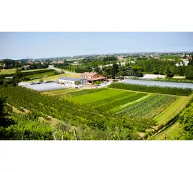 Agriturismo Perugini (Az. Agricola, Camere, Agriturismo, Eventi)