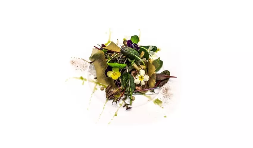 Ristorante Albergo Ca' Vittoria s.a.s.