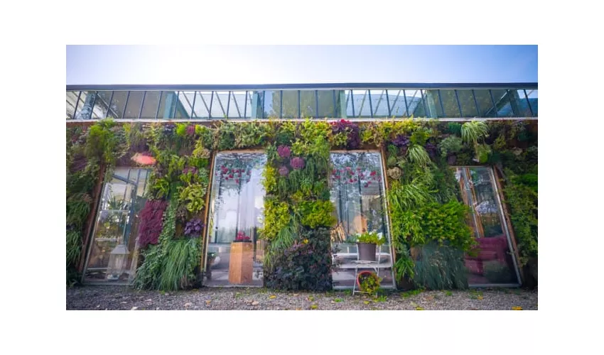 Ristorante Dolce Luna