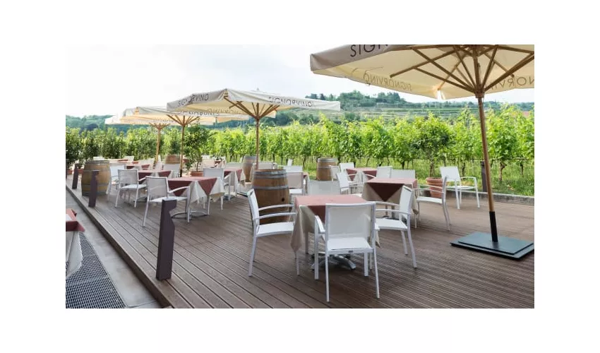 Signorvino