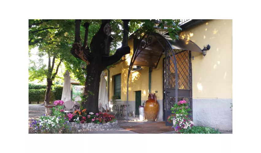 Ristorante Gesuino - Hermitage del Passatore