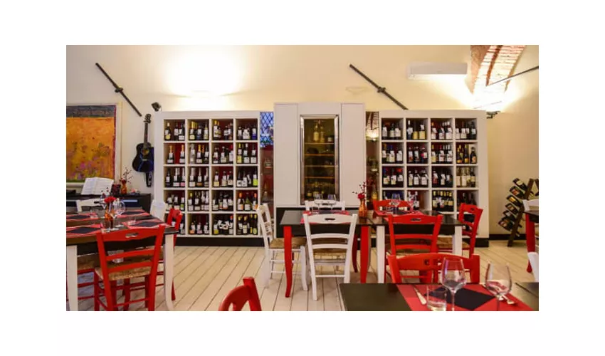 PitucaWine
