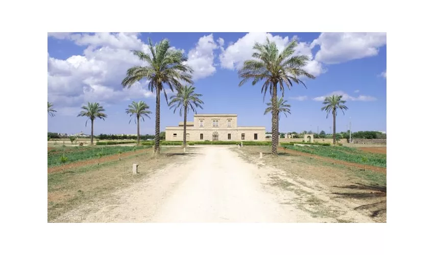Masseria Galatea Agriturismo