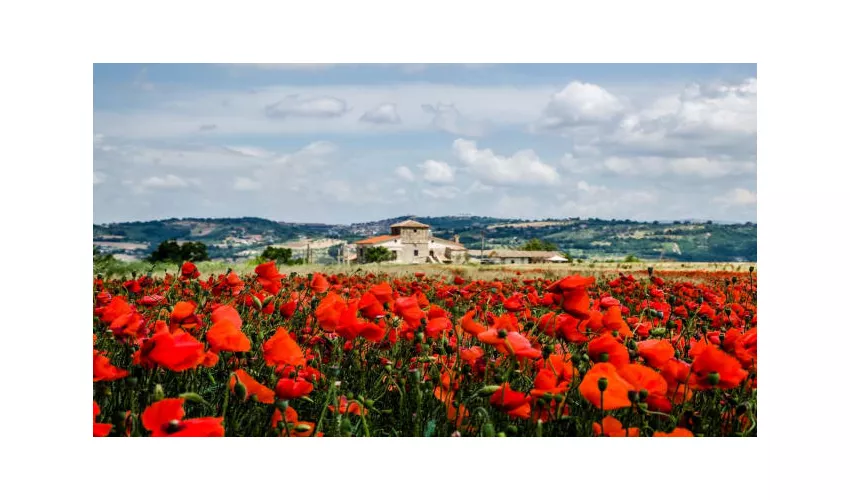 Country Relais La Torretta Baronale