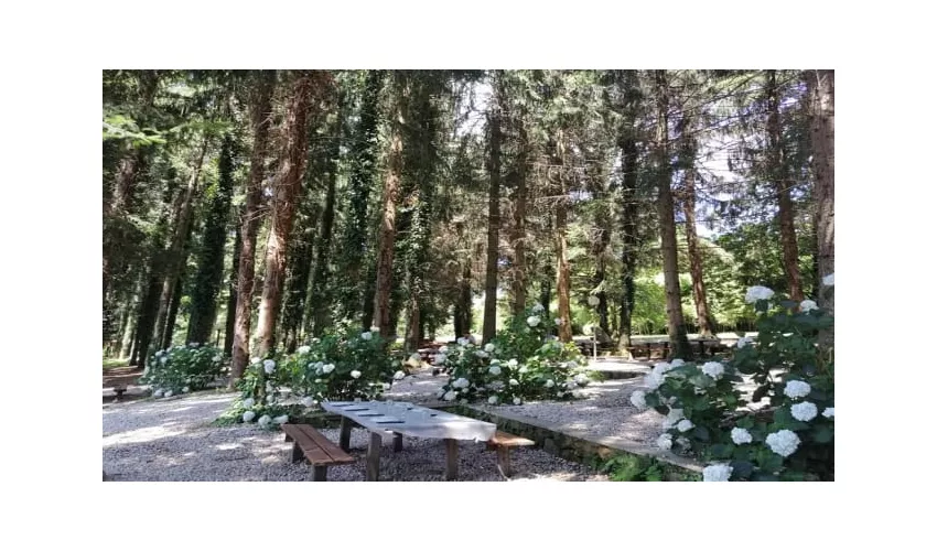 Il Piccolo Paradiso