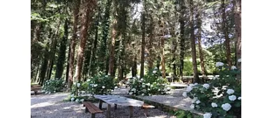 Il Piccolo Paradiso