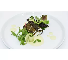 Ristorante Numero Unico