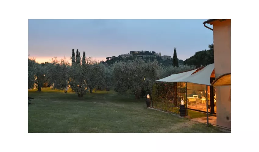 Ristorante L'Oliveto - Agriturismo Nobile Montepulciano