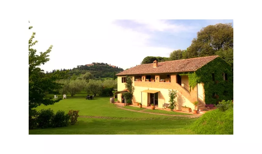 Ristorante L'Oliveto - Agriturismo Nobile Montepulciano