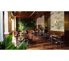 Dhole Milano
