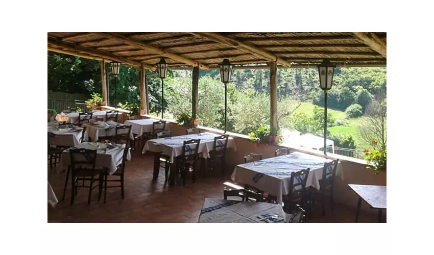 Il Castagneto