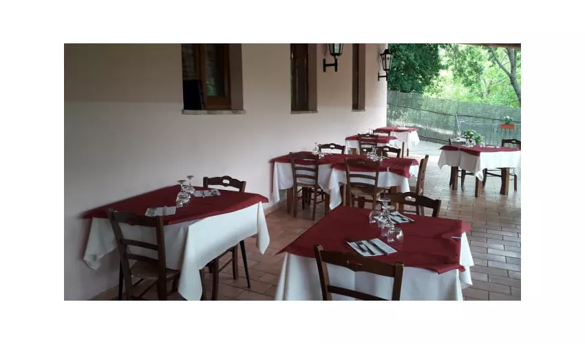 Il Castagneto