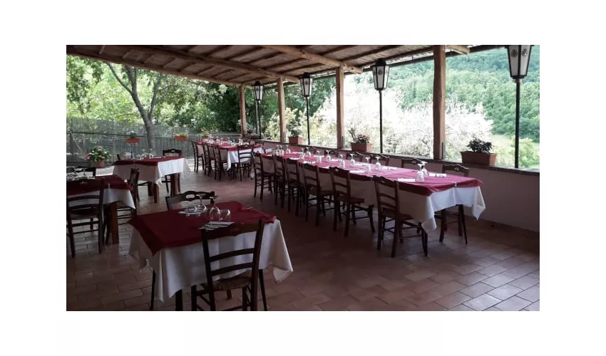 Il Castagneto
