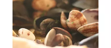 Trattoria Ca' Foscari al Canton