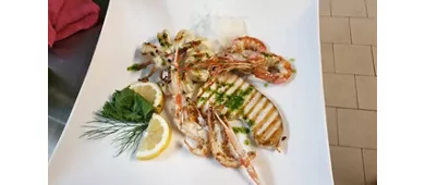 Terrazza48