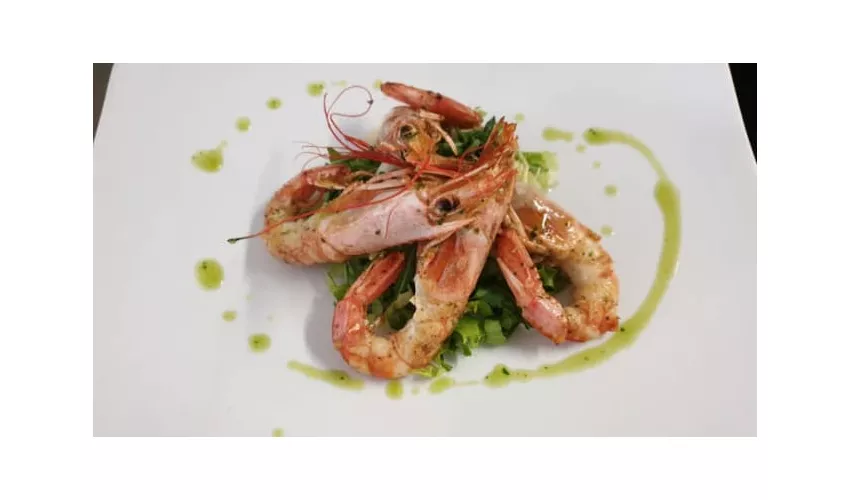 Terrazza48