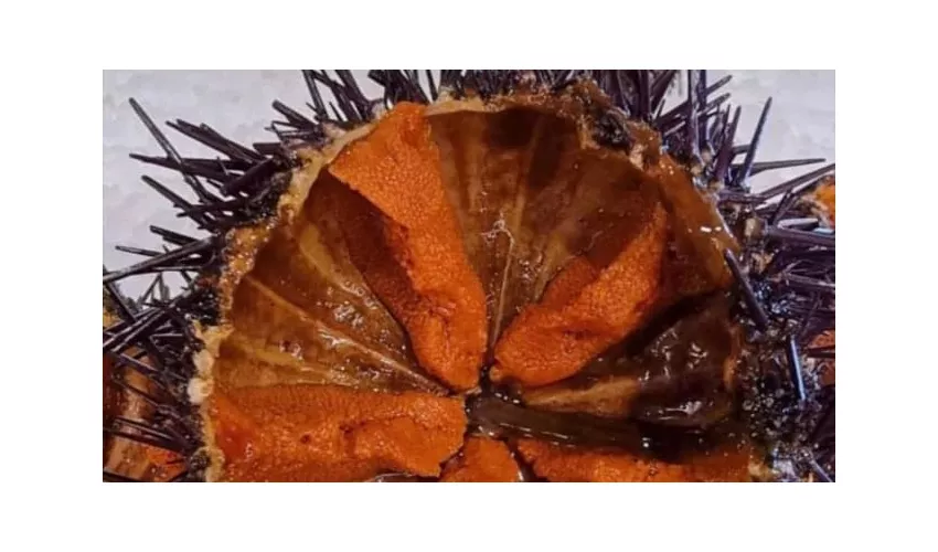 Ristorante La Kambusa