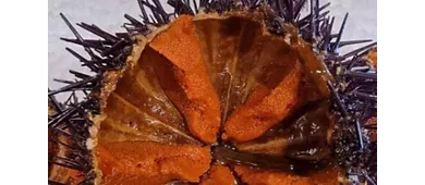 Ristorante La Kambusa