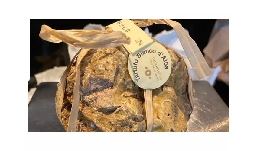 Il Pozzo del Podestà