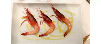 Osteria San Bastian