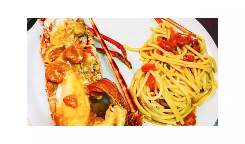 AltaMarea Area Camper