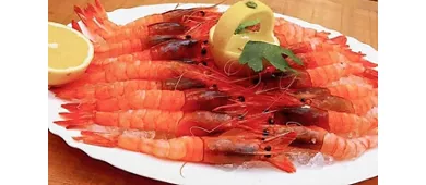 Garden Caffè & Cucina