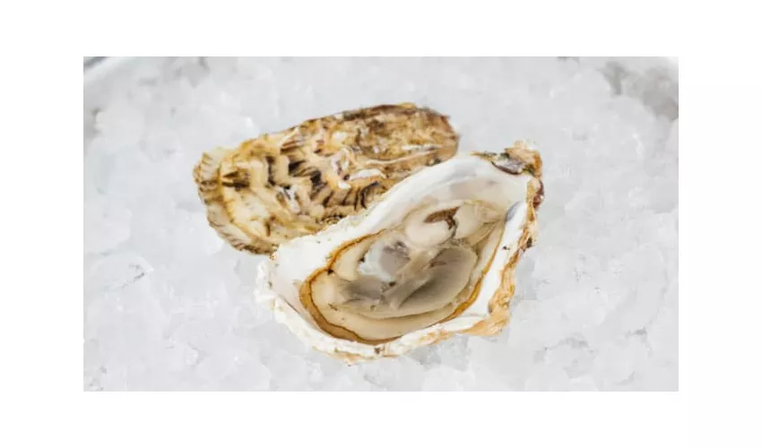 Ristorante La Nuova Rimini