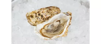 Ristorante La Nuova Rimini