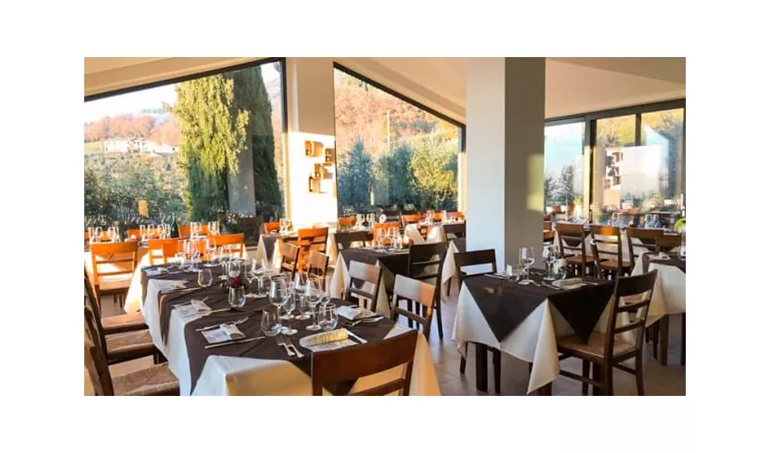 Agriturismo Colle Degli Olivi Di Tardioli Emiliano