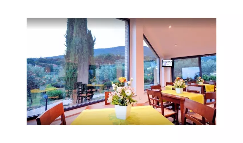Agriturismo Colle Degli Olivi Di Tardioli Emiliano