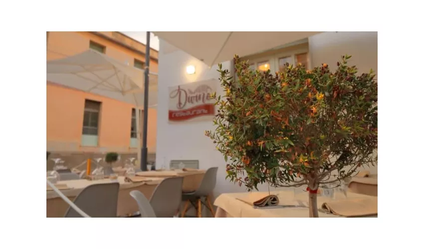 Divino Restaurant