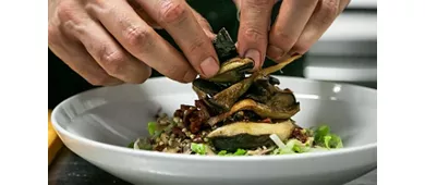 Herbe - Food & Drink Vegetale