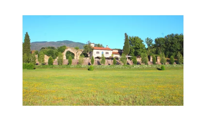 CASALE ANIO NOVUS