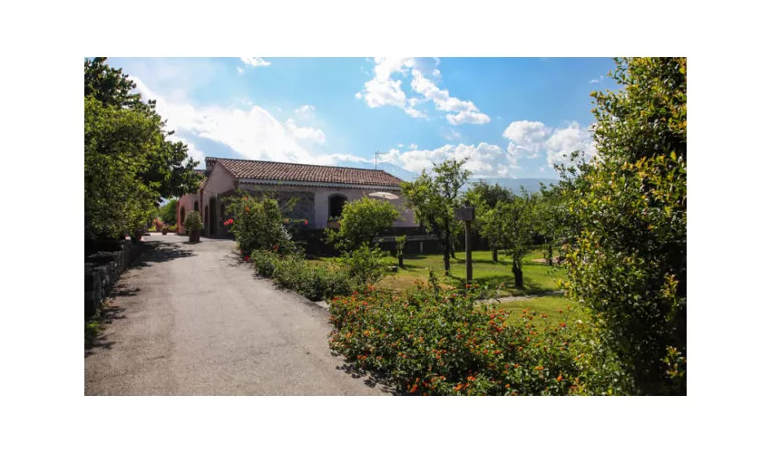 Agriturismo Galea